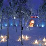 LAPLAND TURU - HİPPO TURİZM 