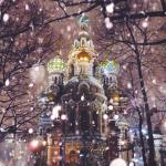 St. PETERSBURG KIŞ TURLARI - HİPPO TURİZM